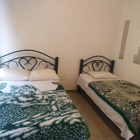 Hostal Maple 克雷塔罗 外观 照片