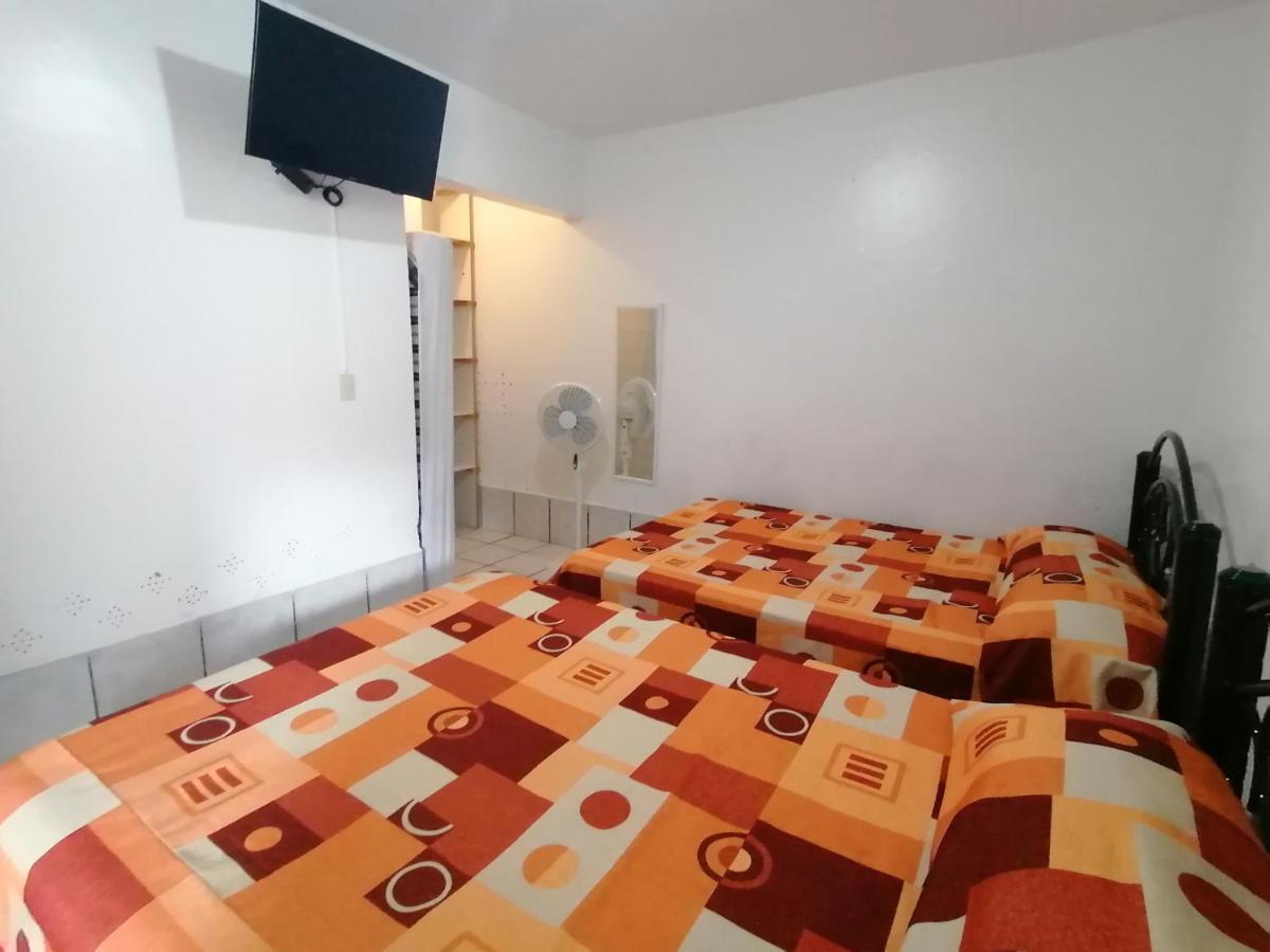 Hostal Maple 克雷塔罗 外观 照片