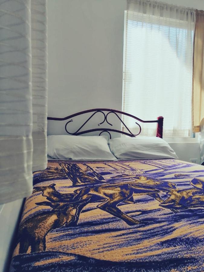 Hostal Maple 克雷塔罗 外观 照片