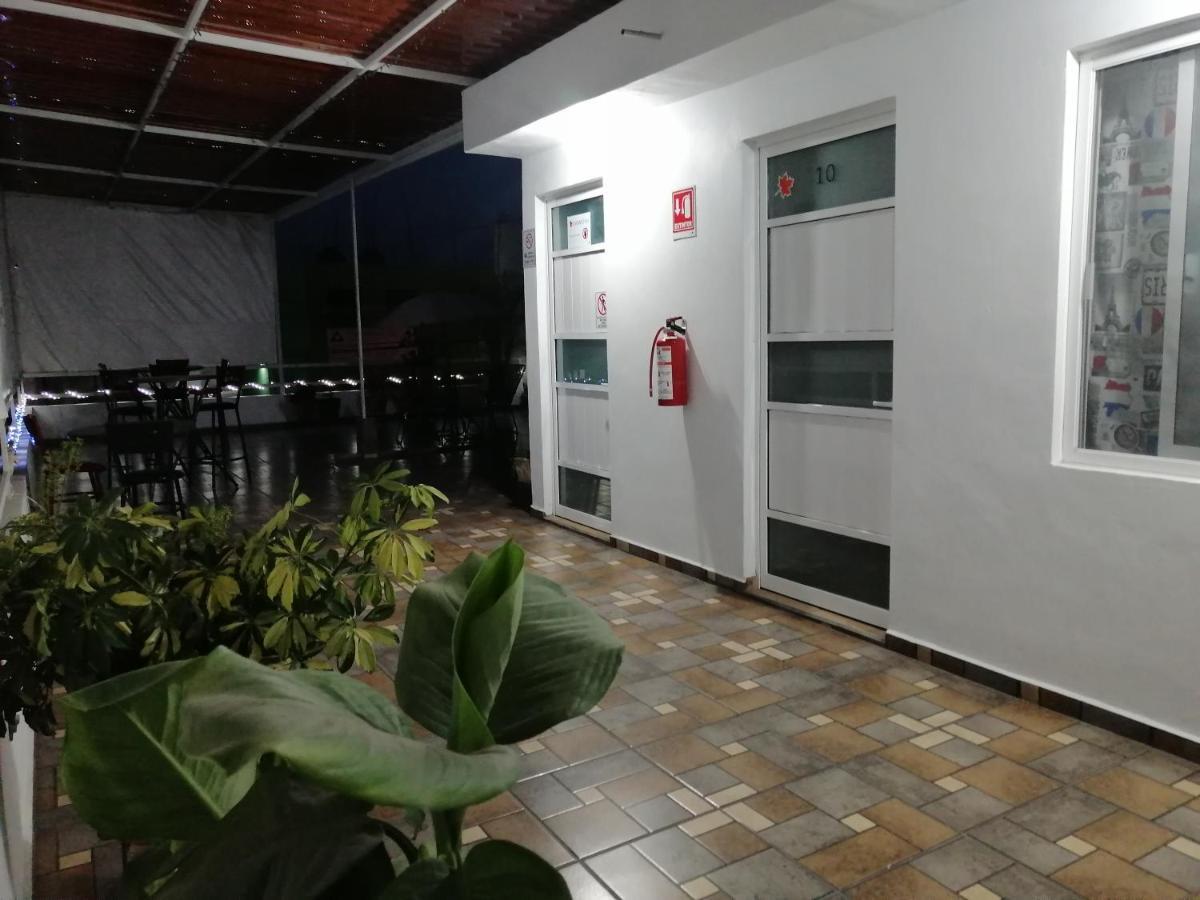 Hostal Maple 克雷塔罗 外观 照片