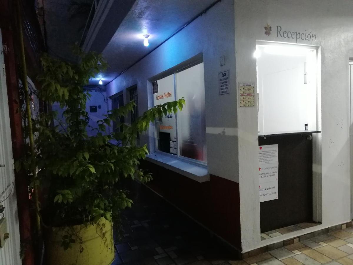 Hostal Maple 克雷塔罗 外观 照片